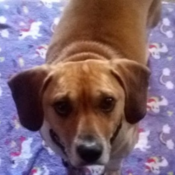 Meet your Posher, Libby - Picture 13 of 16